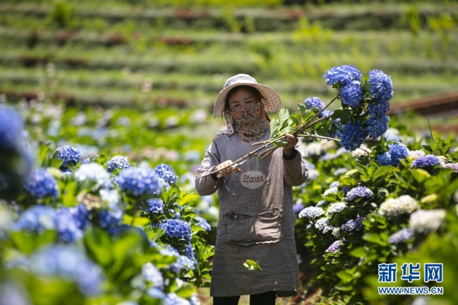 1310000001_16232890874241n 1310000001_16232890874241n