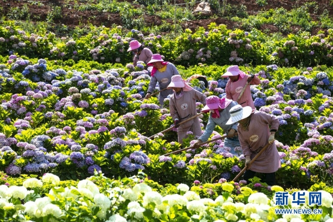 1310000001_16232890875401n 1310000001_16232890875401n