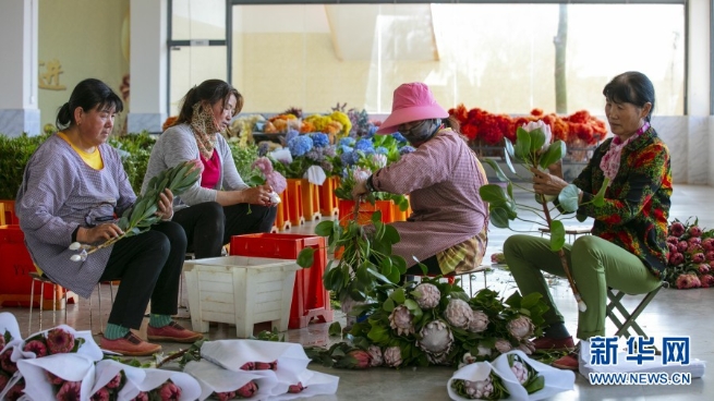 1310000001_16232890880281n 1310000001_16232890880281n