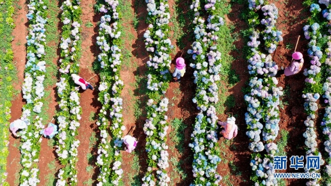 1310000001_16232890882521n 1310000001_16232890882521n