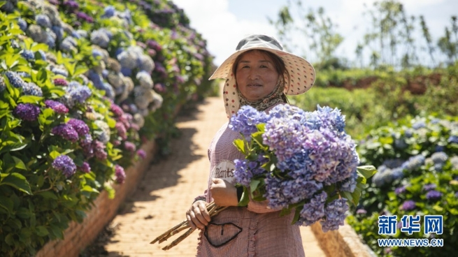 1310000001_16232890887671n 1310000001_16232890887671n