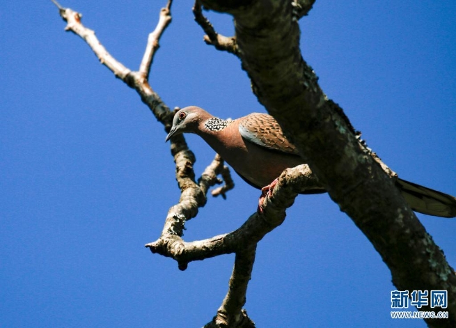 1310044948_16255357331821n 1310044948_16255357331821n