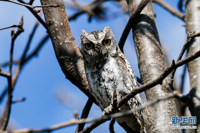 1310044948_16255357332331n 1310044948_16255357332331n