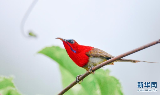 1310044948_16255357332831n 1310044948_16255357332831n