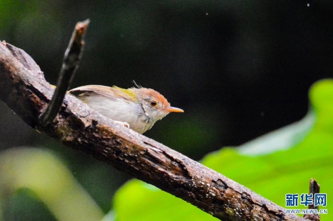 1310044948_16255357333191n 1310044948_16255357333191n