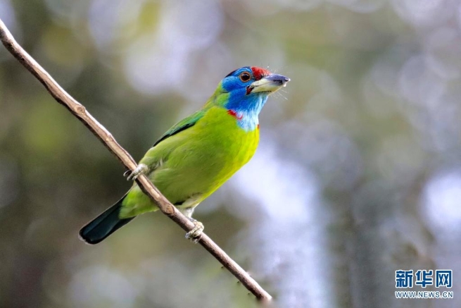 1310044948_16255357333691n 1310044948_16255357333691n