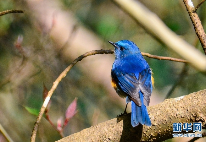 1310044948_16255357334131n 1310044948_16255357334131n