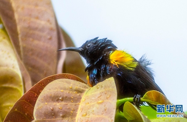 1310044948_16255357334791n 1310044948_16255357334791n