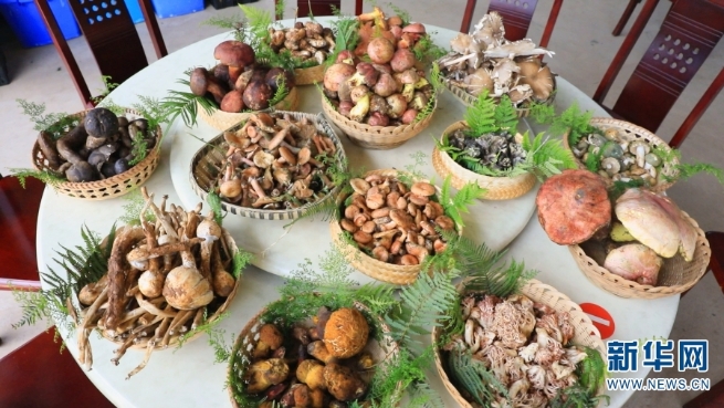 1310070691_16266971065101n