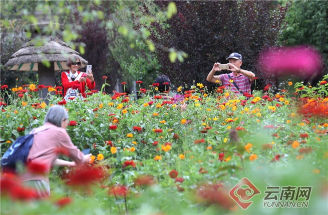 00304062191_461f5c47