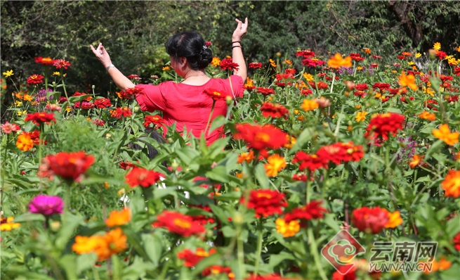 00304062193_b305147b