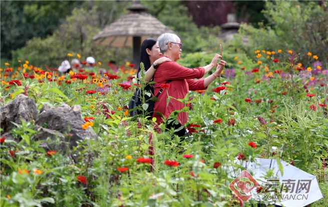 00304062194_e67c664b