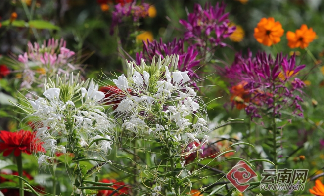 00304062197_fb4e8207