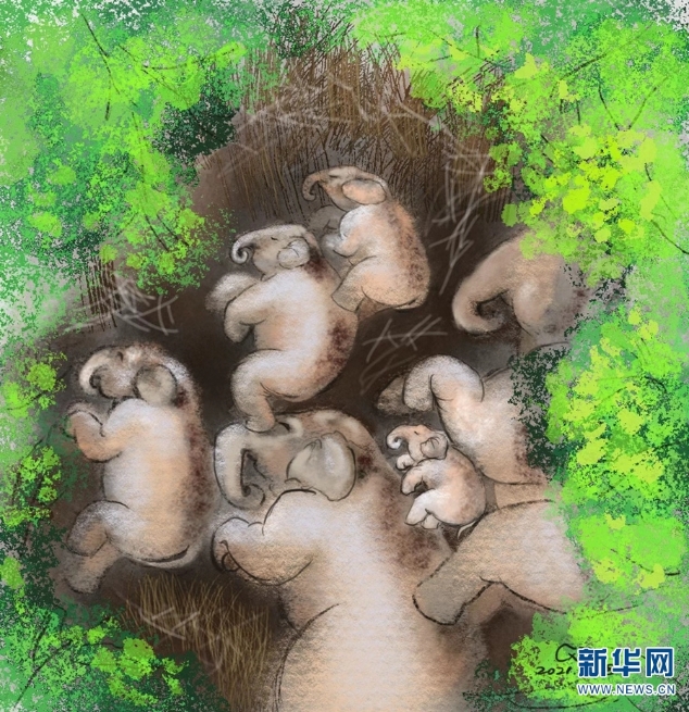 1310071535_16267442182121n 1310071535_16267442182121n