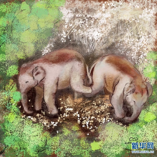 1310071535_16267442183431n 1310071535_16267442183431n