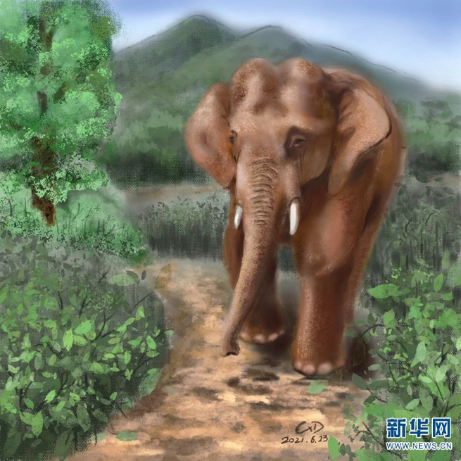 1310071535_16267442186121n 1310071535_16267442186121n