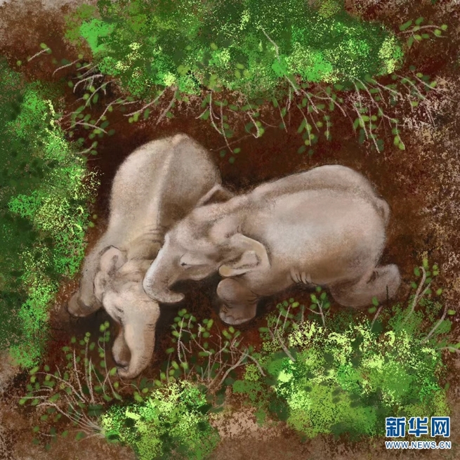 1310071535_16267442187321n 1310071535_16267442187321n