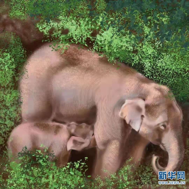 1310071535_16267442188591n 1310071535_16267442188591n