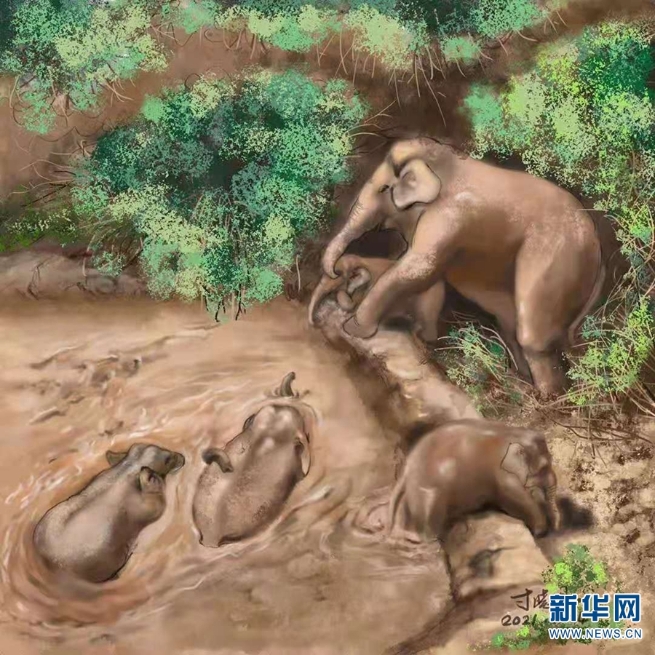 1310071535_16267442189751n 1310071535_16267442189751n