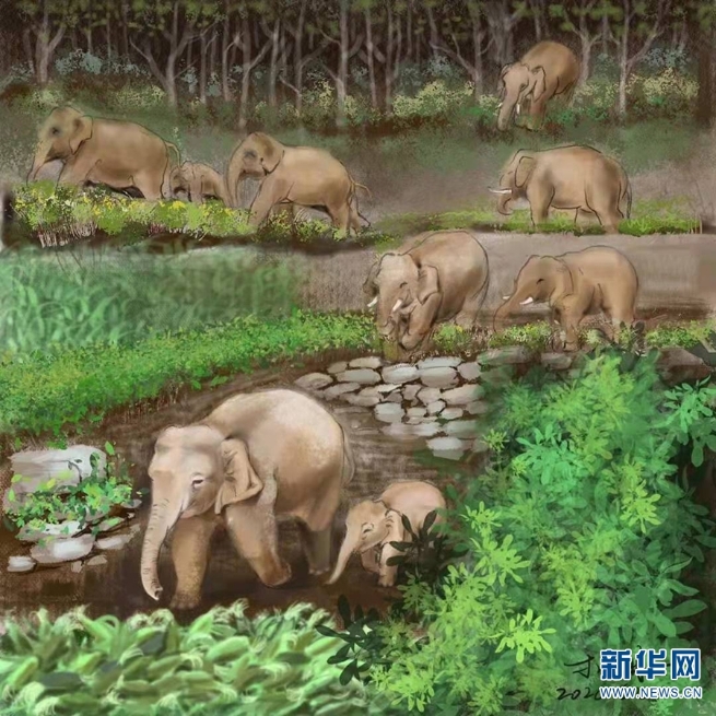 1310071535_16267442190971n 1310071535_16267442190971n