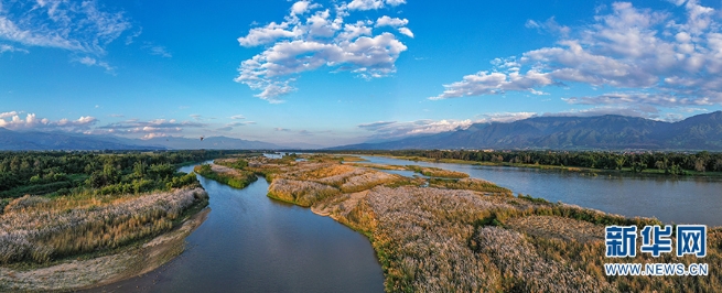 1310279517_16355653363381n 1310279517_16355653363381n