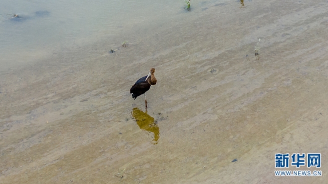 1310279517_16355653364791n 1310279517_16355653364791n