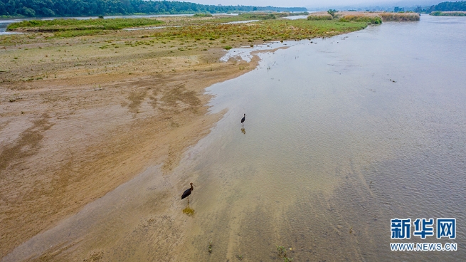 1310279517_16355653365491n 1310279517_16355653365491n