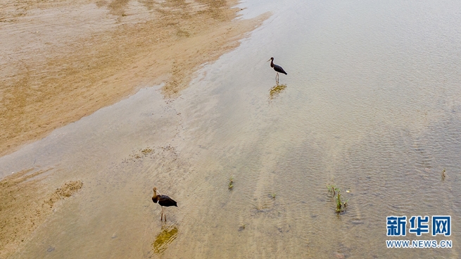 1310279517_16355653366261n 1310279517_16355653366261n