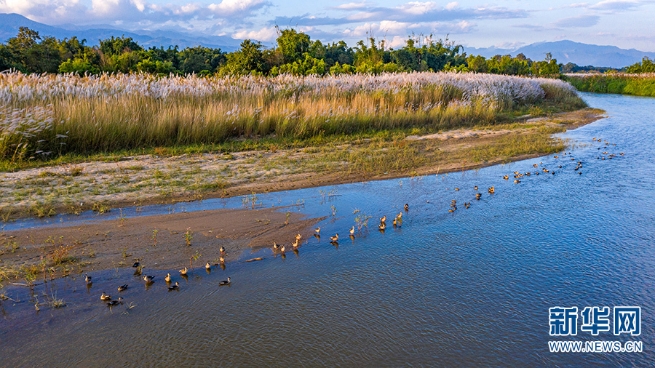 1310279517_16355653366991n 1310279517_16355653366991n