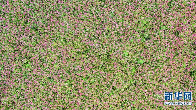 1310292574_16362455578131n