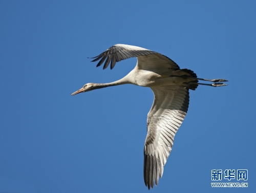 1310313904_16370434279141n 1310313904_16370434279141n