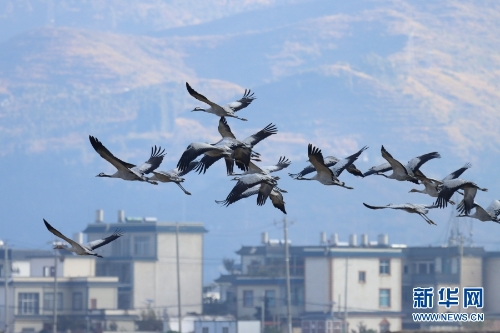 1310313904_16370434282941n 1310313904_16370434282941n