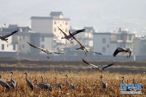 1310313904_16370434284451n 1310313904_16370434284451n