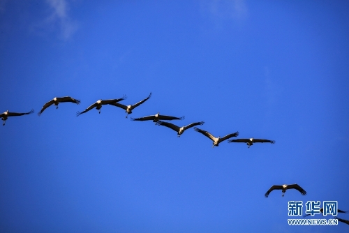 1310313904_16370434287671n 1310313904_16370434287671n