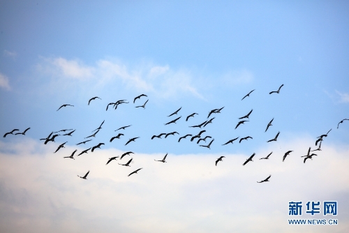 1310313904_16370434289311n 1310313904_16370434289311n