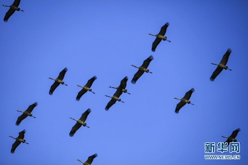 1310313904_16370434290771n 1310313904_16370434290771n