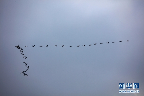 1310313904_16370434292221n 1310313904_16370434292221n