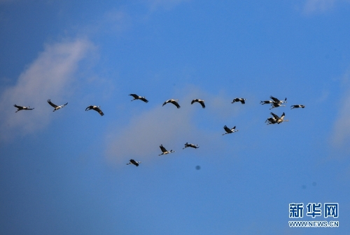 1310313904_16370434293581n 1310313904_16370434293581n