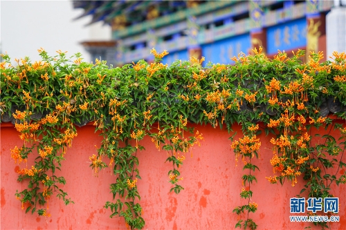 1310292420_16361598052661n 1310292420_16361598052661n