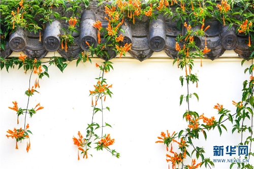 1310292420_16361598051861n 1310292420_16361598051861n