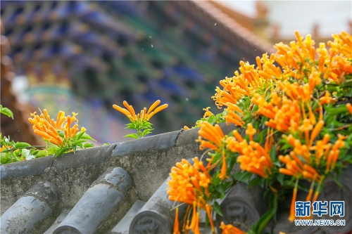 1310292420_16361598056381n 1310292420_16361598056381n