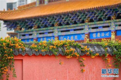 1310292420_16361598057091n 1310292420_16361598057091n