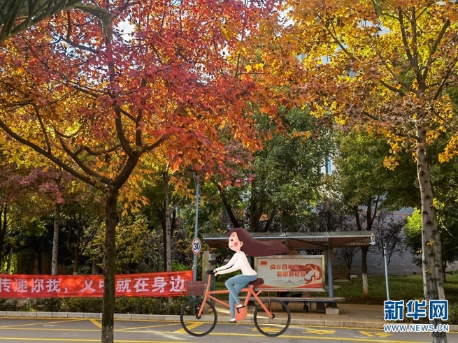 1310322530_16374572288951n