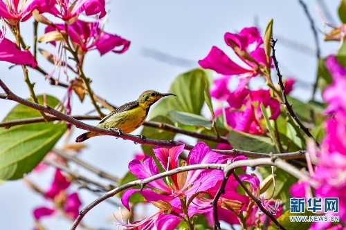 1310348995_16384976098421n