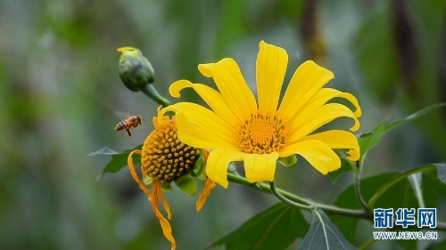 1310348995_16384976098451n