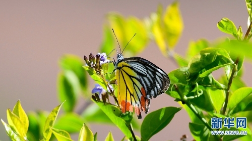 1310348995_16384976098491n