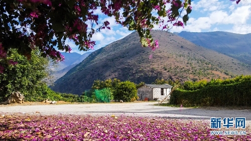 1310348995_16384976098521n