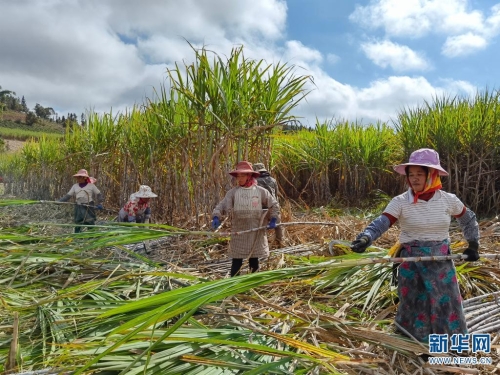 1310348998_16385793301691n