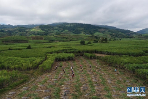 1310348998_16385793302461n