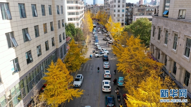 1310369796_16394425023211n